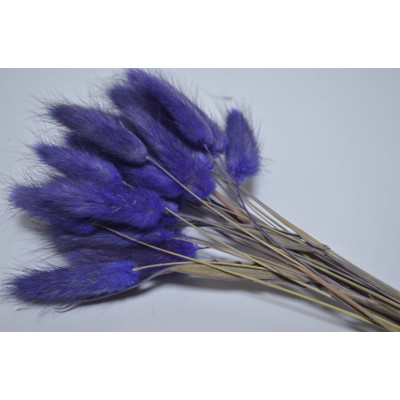 Лагурус (30шт) фиолетовый