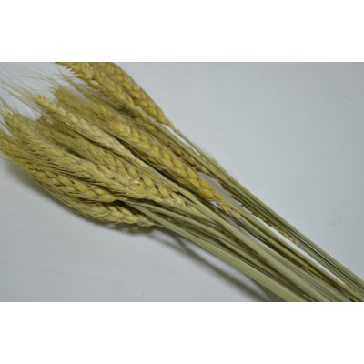 Пшеница (25шт) натуральная