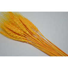 Пшеница (25шт) оранжевая (0262)